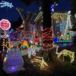 Side yeard view of Dourov snow Machine House Livermore CA