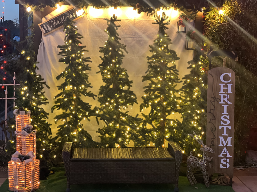 Get your family Christmas portraits taken here with the tree farm backdrop