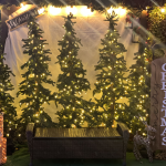 Get your family Christmas portraits taken here with the tree farm backdrop
