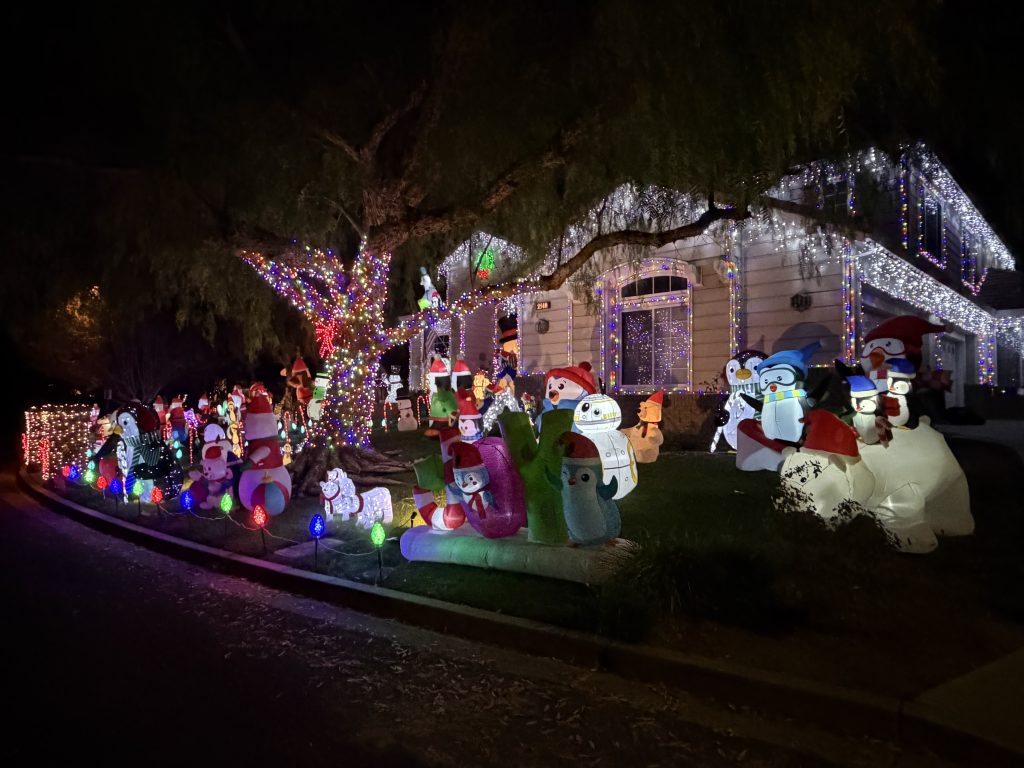 SHOOBIES ALOHA PARADISE – California Christmas Lights