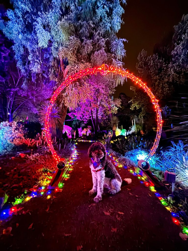 Garden of D'Lights – Ruth Bancroft Garden & Nursery – California