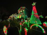 Side view of house with view of mega tree